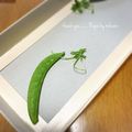 GoGo島みかん's cooksnap of when they made 時短簡単＊スナップエンドウの筋の取り方＊.