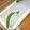 GoGo島みかん's cooksnap of when they made 時短簡単＊スナップエンドウの筋の取り方＊.