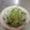 クックM7HSFD☆'s cooksnap of when they made きゅうりと大根の 柚子胡椒浅漬け.