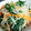 tamama1102's cooksnap of when they made ほうれん草ともやしとにんじんのナムル.