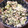 パグカップ's cooksnap of when they made 白和え？.