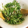 savitris's cooksnap of when they made 2分でできるダイエット水菜サラダ.
