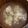 xMARILYNx's cooksnap of when they made 鯛のあら汁.