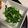 xMARILYNx's cooksnap of when they made 青菜炒め.
