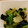 dmhnrk's cooksnap of when they made レタス大量消費！激ウマ海苔レタス.