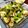 クックBX8C1S☆'s cooksnap of when they made 鶏もも肉と新ジャガのオーブンロースト.
