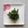 やまひろたい☆'s cooksnap of when they made ほうれん草の海苔和え.