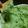 クックFDPNRJ☆'s cooksnap of when they made ゆずこしょうアボカドディップ.