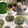 クックかるたん's cooksnap of when they made 簡単♪美味♪冷凍餅と茹でよもぎで草餅.