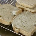 ガメコ's cooksnap of when they made パネトーネマザーでミルクパン～HB.