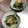 カジハルハル's cooksnap of when they made レンジで簡単お弁当にほうれん草のおひたし.