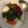 V666's cooksnap of when they made 青汁きなこでヨーグルトアート.