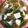 kisberry's cooksnap of when they made まいたけと三つ葉の味噌汁.