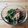 ぎょびょ's cooksnap of when they made わらびのお浸し.