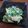 クックLJ2W4Q☆'s cooksnap of when they made 簡単！ほうれん草のとろ〜りごま豆腐和え.