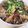 あさここなっつ's cooksnap of when they made こっくり美味しい豚肉とこんにゃくの味噌煮.