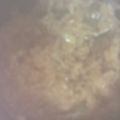 ma___111's cooksnap of when they made オムライス：炊飯器でケチャップライス.