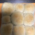 おしあゆみ's cooksnap of when they made 白神こだま*ちぎりパン*.