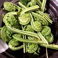 HiroRen59's cooksnap of when they made こごめ？こごみ？の下茹で.