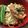 aihamu's cooksnap of when they made m竹輪ともやしの玉子丼.