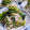 りーたみ's cooksnap of when they made キャベツともやし＠さっぱりな酢の物.