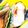 ユーロン's cooksnap of when they made 簡単☆銀だらの味噌漬け焼き.