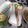 よちりん's cooksnap of when they made かにマヨきゅうりボート.