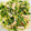 ねぞろ's cooksnap of when they made ささみとえのきと豆苗の和え物.