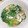 amjkao's cooksnap of when they made 外葉捨てないで！レタスのふわとろスープ.