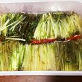 どっど's cooksnap of when they made ☆水菜のお漬物☆.
