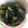 khnopff's cooksnap of when they made 小松菜のしっとり ふりかけ.