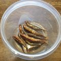 ★Arthur★'s cooksnap of when they made 小サバの唐揚げ.