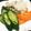 ⊿ぐりった's cooksnap of when they made 白だしで簡単浅漬け☆さっぱり野菜のお漬物.