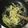 クックQ135WY☆'s cooksnap of when they made しらすとほうれん草のパスタ.