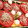 女王蜂ハチ公's cooksnap of when they made 簡単トマトとしらすの一口おつまみ.