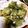 朔蔵Kitchen's cooksnap of when they made こしあぶらの天ぷら.