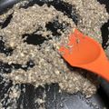 imokorebon's cooksnap of when they made 豆腐のバーニャカウダ風ディップソース.