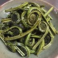 豆乳pudding's cooksnap of when they made 簡単♪こごみの油炒め.