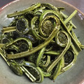 豆乳pudding's cooksnap of when they made 簡単♪こごみの油炒め.