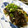 solapapa's cooksnap of when they made 茄子の油淋鶏風薬味たっぷり揚げ浸し♪♪.