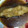 焼筍姿寿司's cooksnap of when they made カレイの煮付け.