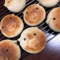 アイラママ's cooksnap of when they made ブーブー（´ 3｀)おやつチョコパン.
