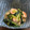 くんねちゅぷ's cooksnap of when they made タアサイとエビの炒めもの.