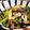 低カロ探検隊's cooksnap of when they made 油揚、小松菜のサバ味噌和え.