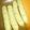 ☆MHK☆'s cooksnap of when they made 放置でパリッと美味しいソーセージのゆで方.