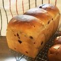 ふみん家's cooksnap of when they made ふんわり♡はちみつクランベリー食パン.