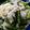 momoazeru's cooksnap of when they made アスパラと玉ねぎのバター炒め.
