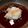 ハニー1219's cooksnap of when they made 赤シタビラメの揚げおろし煮.