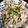 marron326's cooksnap of when they made 豚の香味焼き.
