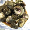 なかしん1234's cooksnap of when they made ニナ貝（しったか、バテイラ、つぶ貝）煮付.